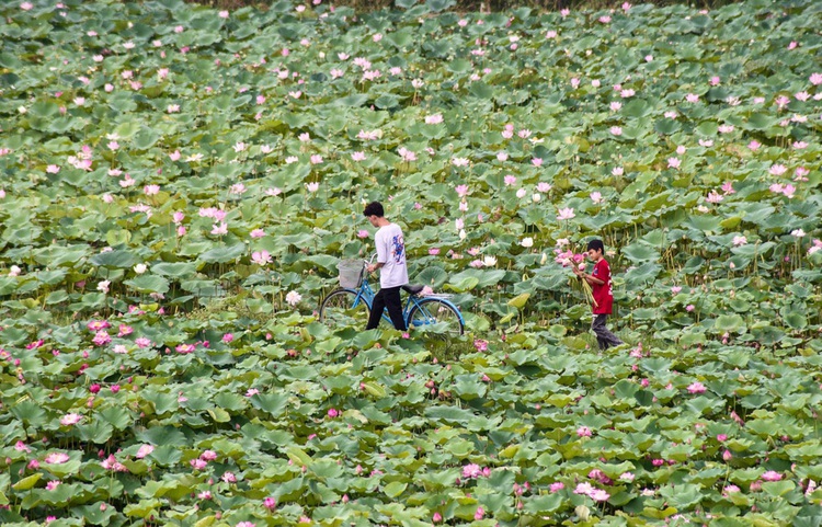 The best things to do in Vietnam’s stunning Ninh Binh Province