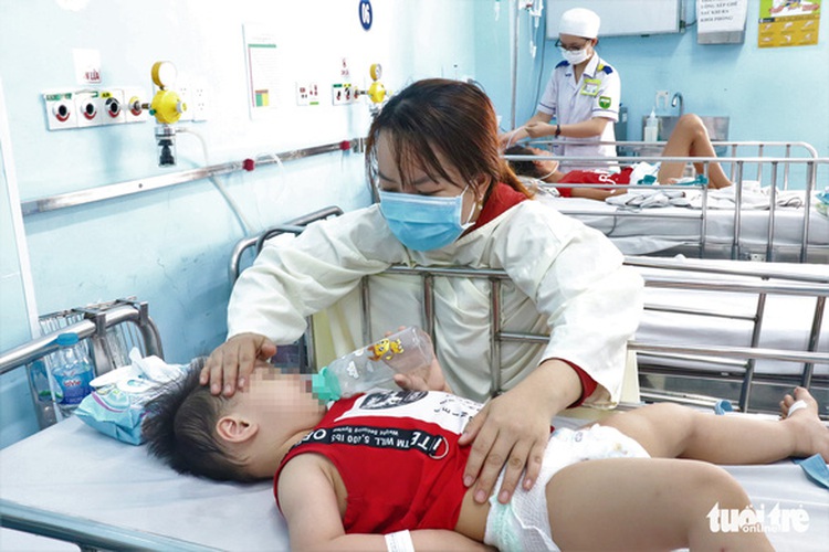 Dengue fever, hand-foot-mouth cases on the rise in Ho Chi Minh City