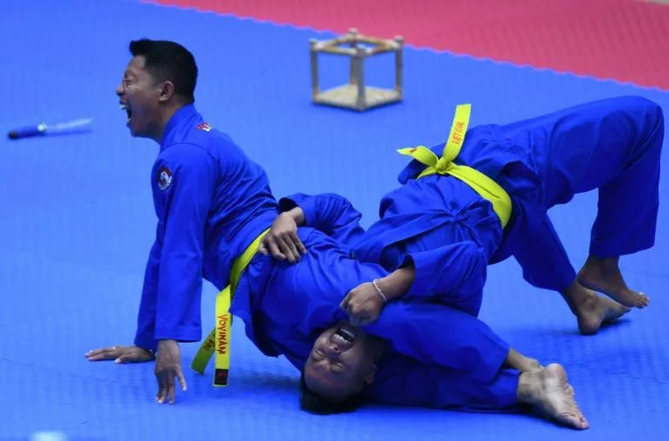 Va-va-vovinam: Vietnam's martial art flies on SEA Games return