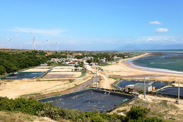 Vietnamese legislature's economic committee proposes restarting nuclear power project