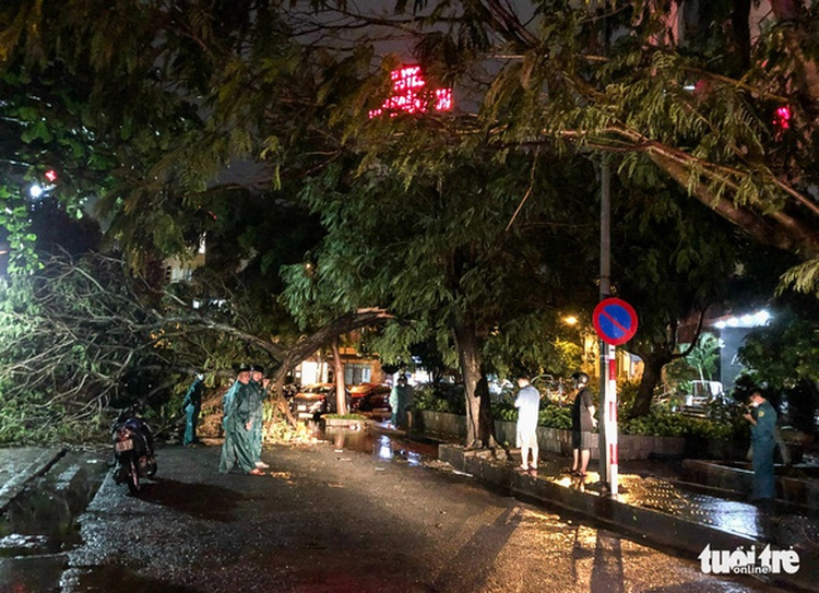 Tree branches fall, billboards fly during squally night in Ho Chi Minh City