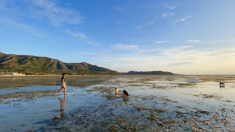 I found inner peace upon relocation to remote coastal town in Vietnam