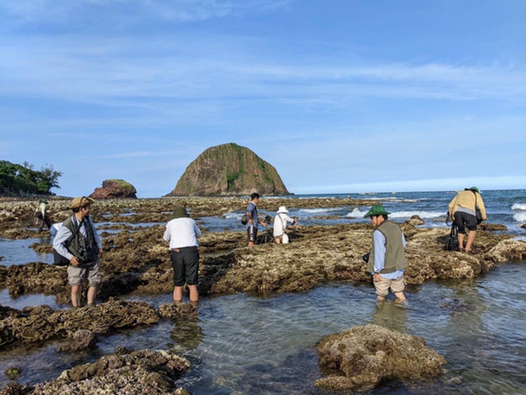 Vietnamese province scrambles to handle people trampling coral reefs