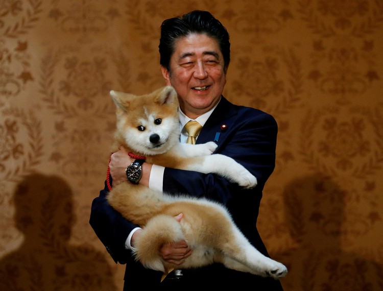 Japan ex-PM Abe assassinated while making election campaign speech