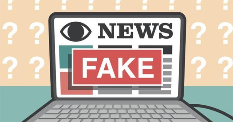 Hanoi man fined for spreading false information about Vingroup chairman