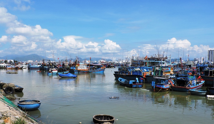 Czech Republic promises to help Vietnam remove ‘yellow card’ applied on seafood: foreign ministry