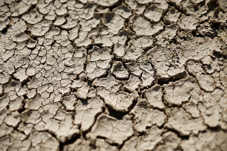 'Climate change affects everyone': Europe battles wildfires in intense heat