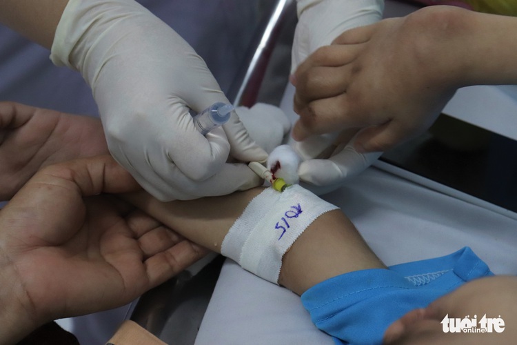 Ho Chi Minh City’s dengue fever death toll increases to 13