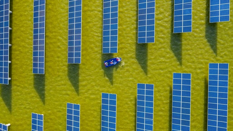 Cheaper, changing and crucial: the rise of solar power