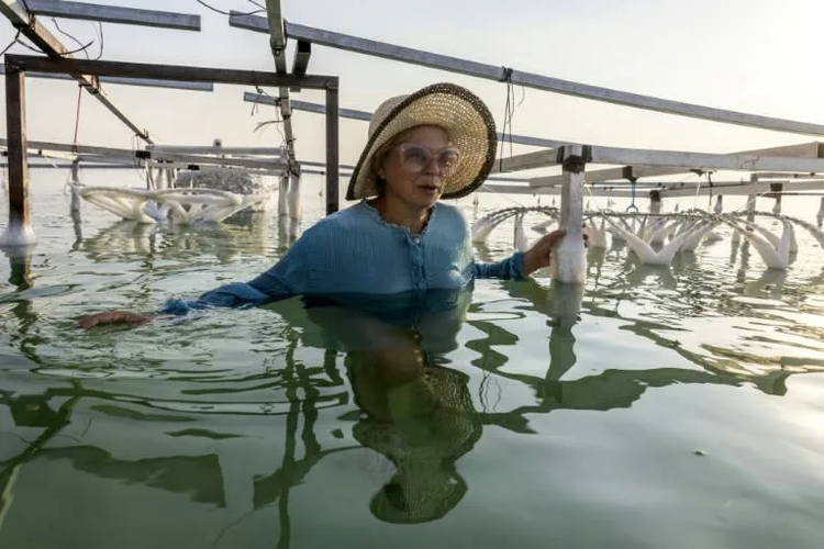 Salt of the earth: Israeli artist's Dead Sea sculptures
