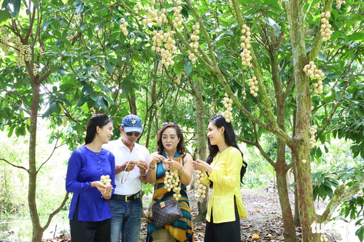 Ga um dau Ha Chau: a sweet combination of fruit and chicken in Mekong Delta