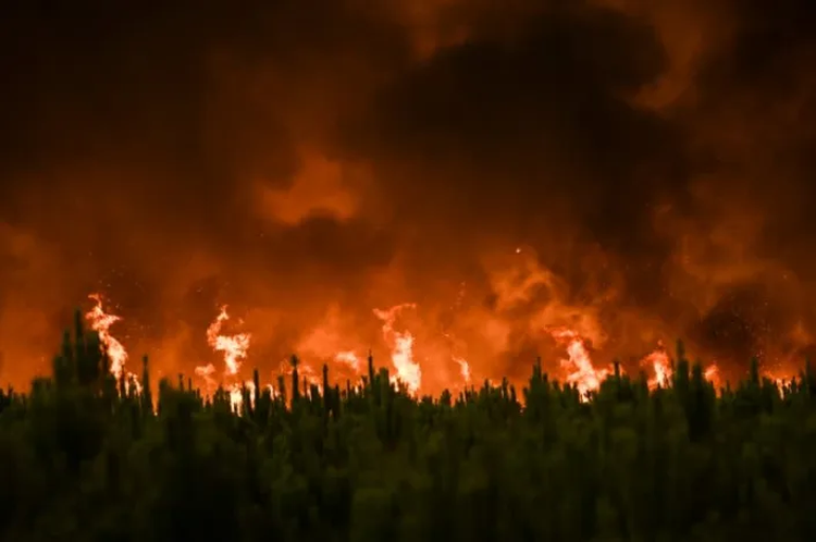 Climate change driving unprecedented forest fire loss