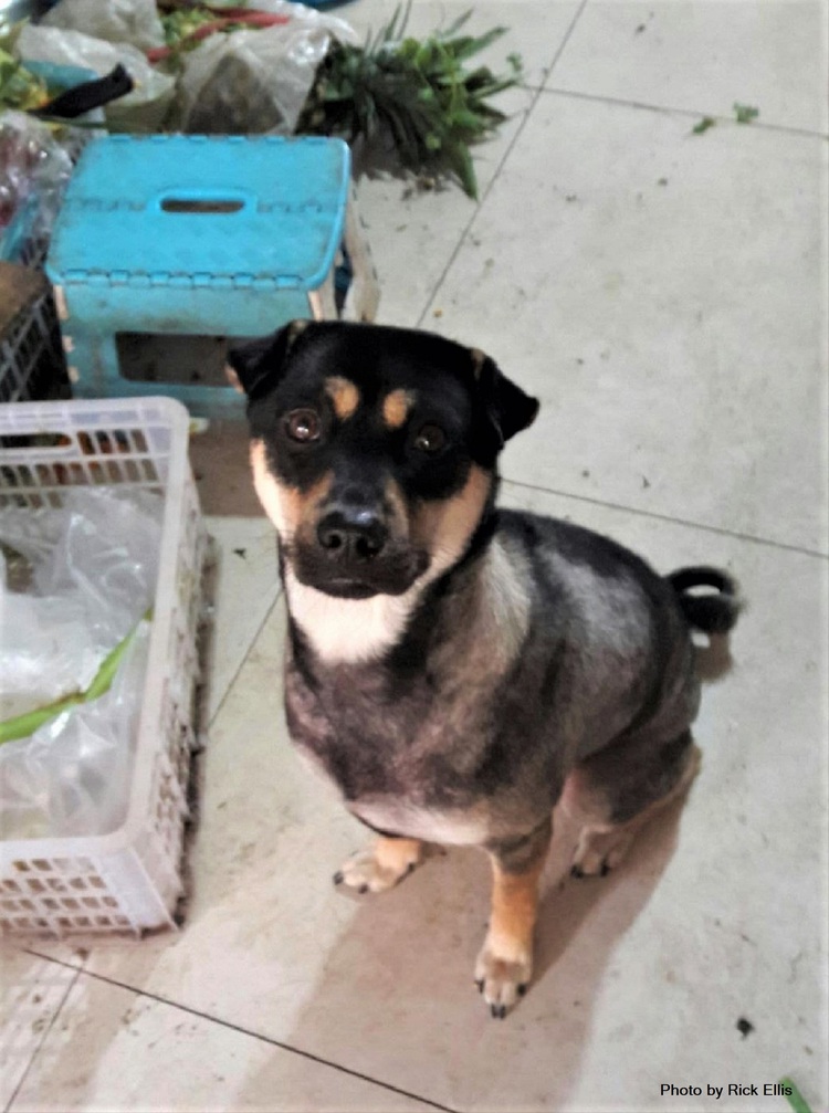 Mystery bag and a box of beer in Vietnam