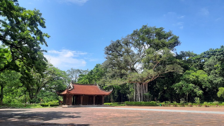 Vietnam's Pu Luong Natural Reserve impresses tourists with wild mountains, forests