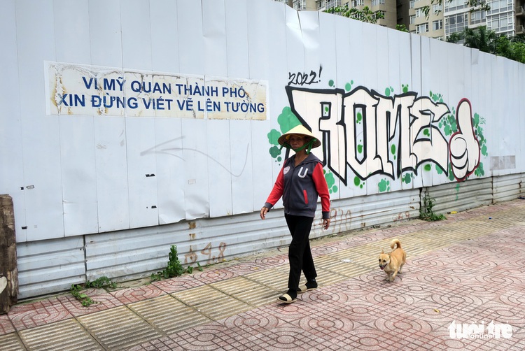 Artistic drawings a way to protect walls from graffiti in Ho Chi Minh City