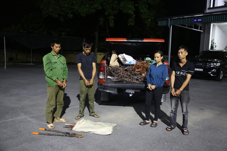Northern Vietnamese province nabs thieves of electric cables from newly-opened expressway