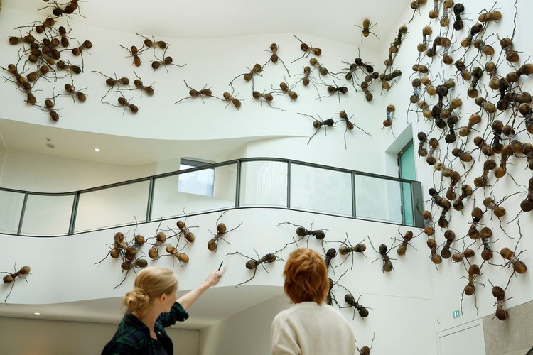 Amsterdam's Rijksmuseum crawling with giant ants