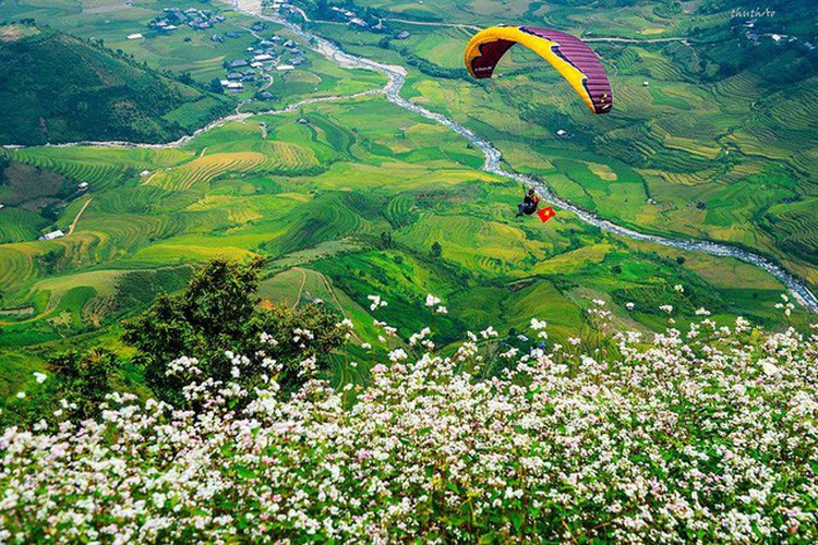 100 paragliders participate in festival in northwestern Vietnam