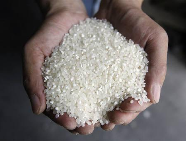 Vietnam Jan-Sept rice exports at 5.4 mln tonnes, up 19.3% y/y: stats office