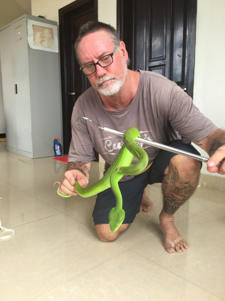 Foreigners run snake rescue service in central Vietnam