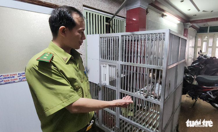 Rare, endangered clouded monitor, long-tailed macaque handed in to Ho Chi Minh City rangers