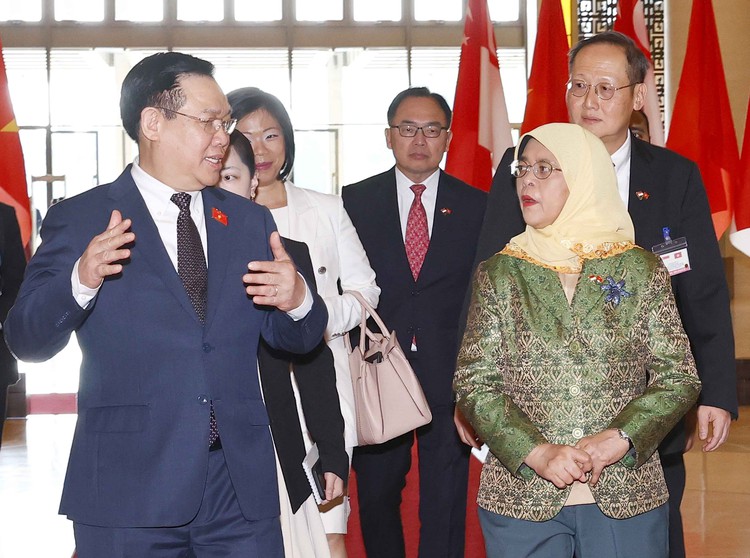 Singaporean president discusses bilateral cooperation with Vietnamese leaders