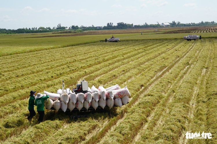1.5mn households in Vietnam’s Mekong Delta to benefit from Australia-funded rice value chain project