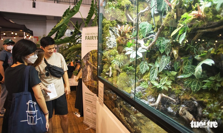 Ho Chi Minh City hosts exotic plant festival