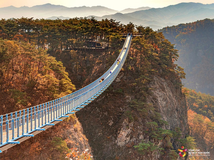 S.Korea’s visa-free policy for Vietnamese travelers remains unchanged: KTO