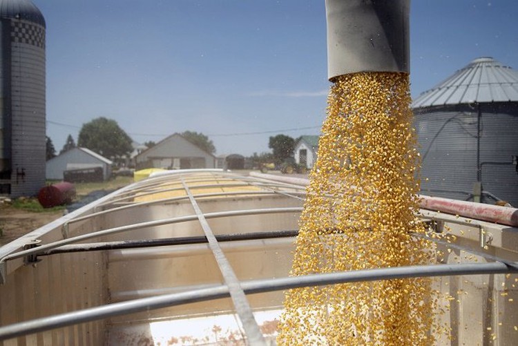 Vietnam’s Mekong Delta province green-lights $43mn biomass power plant project