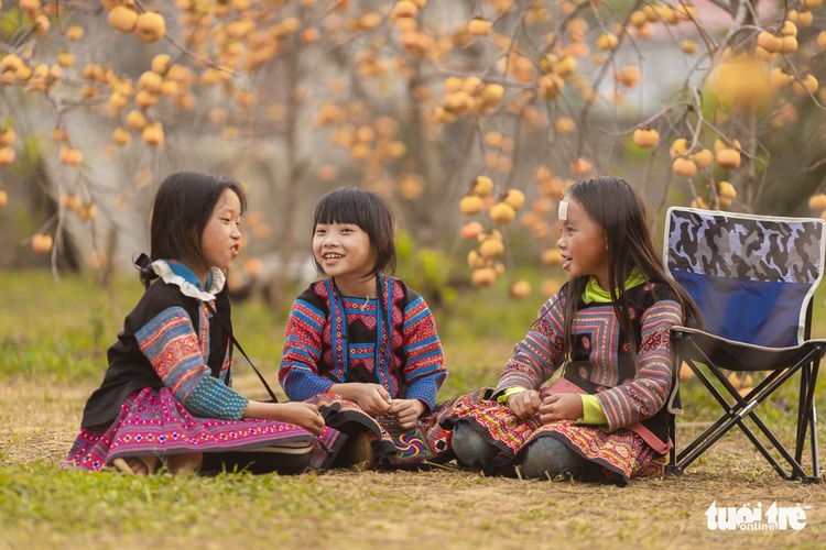 Autumn persimmon garden a magical delight in Vietnam’s Moc Chau