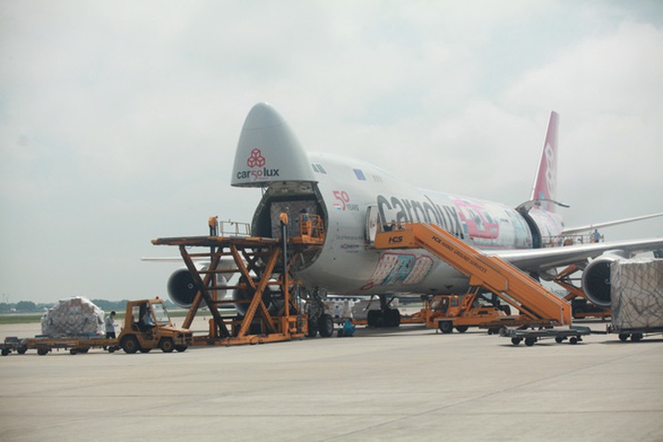 Vietnamese tycoon seeks suspension of licensing of Vietnam’s first cargo airline
