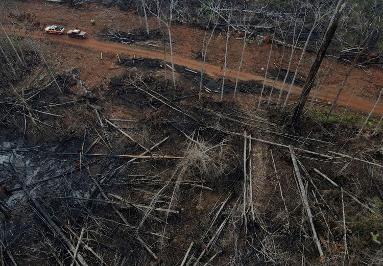 Brazil's 2021 climate emissions highest since 2005, report says
