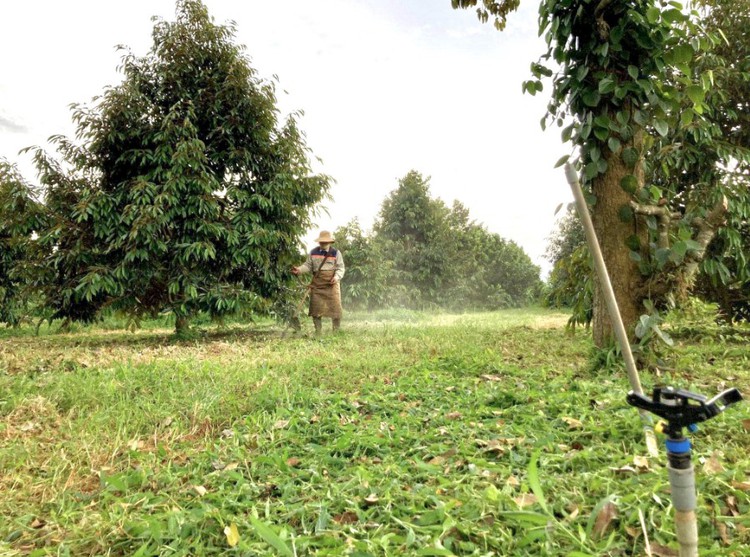 In Vietnam, it is difficult to earn a living in the countryside