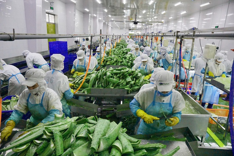 Vietnam’s central bank raises credit growth cap, pumps $8.4bn into economy