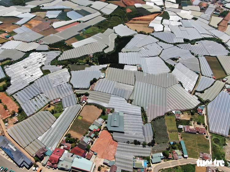 Da Lat proposes removing improvised greenhouses
