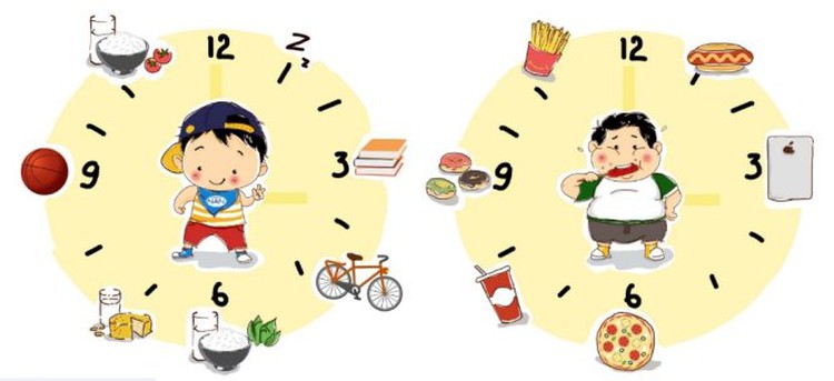 Ho Chi Minh City’s overweight, obesity rate doubles in 10 years