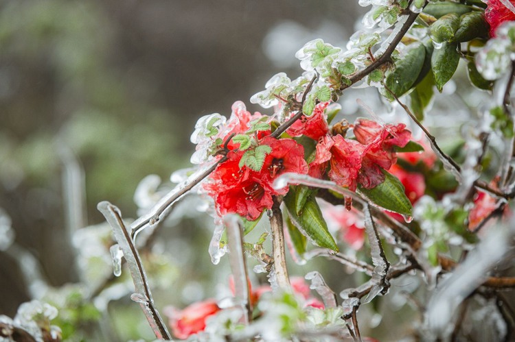 Cold weather to continue as new cold spell hits northern Vietnam