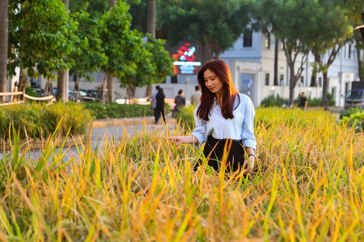 Cold weather, as low as 3 degrees Celsius, hits northern Vietnam