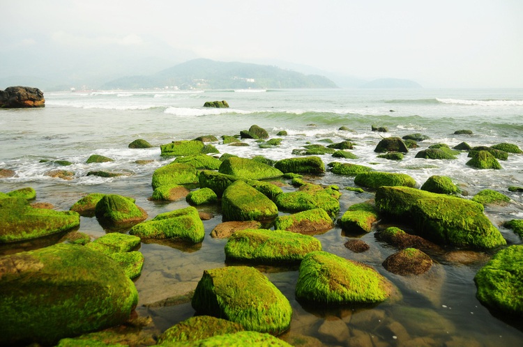 Visitors rush to moss-covered rocks at Da Nang beach