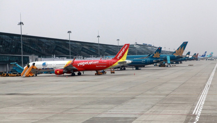 Monkey seen near Hanoi airport