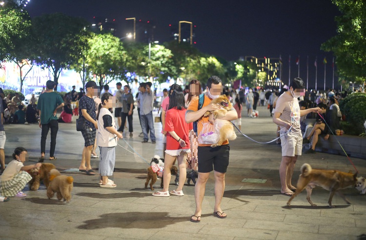 Dogs taken to pedestrian street in Ho Chi Minh City despite ban
