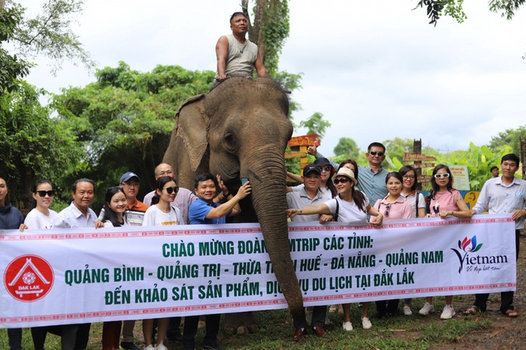 Elephant rides discontinued in Vietnam’s Central Highlands, replaced with photoshoots