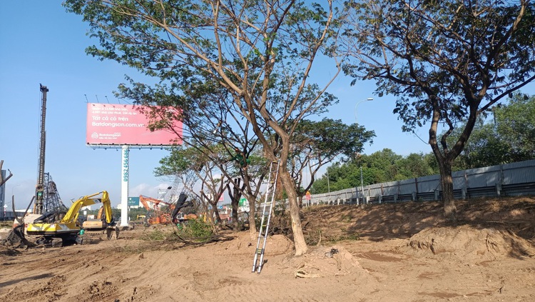 Ho Chi Minh City begins felling, relocating over 1,300 trees for US$148mn interchange construction project