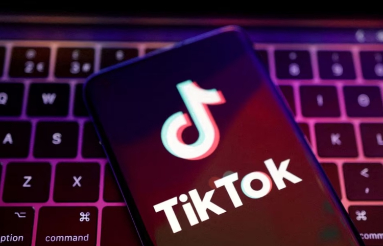 Vietnam to conduct 'comprehensive inspection' of TikTok over harmful content