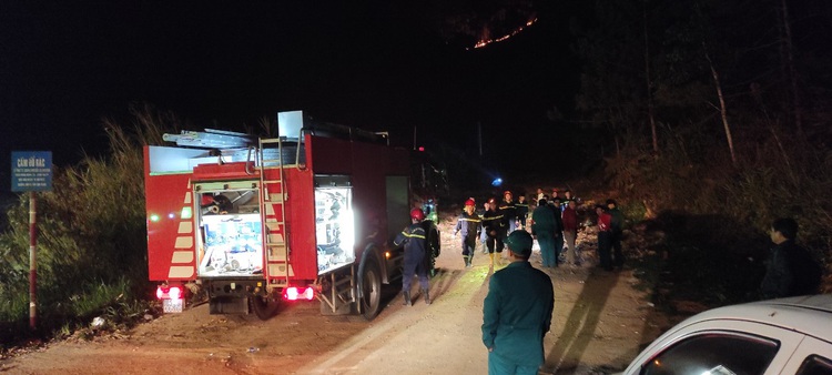 Fire ravages forest at entrance to Vietnam’s Da Lat