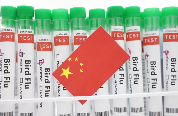 China records world's first human death from H3N8 bird flu, WHO says