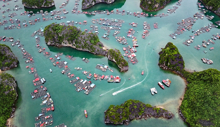 Photo of the Day: Vietnam's oldest fishing village