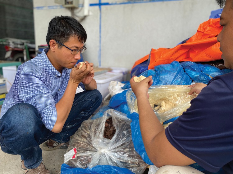 Harvard graduate makes career breeding insect larvae in Vietnam