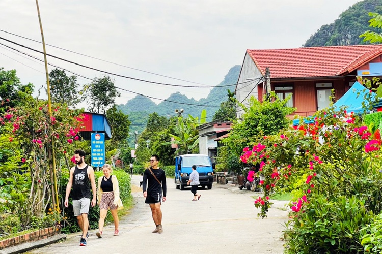 Relaxing fish massage draws visitors to northern island off Vietnam